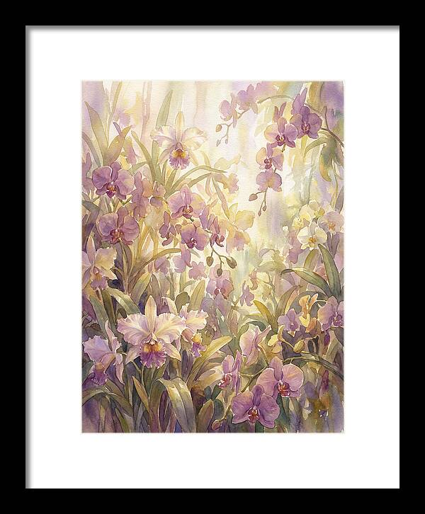 Orchid Garden