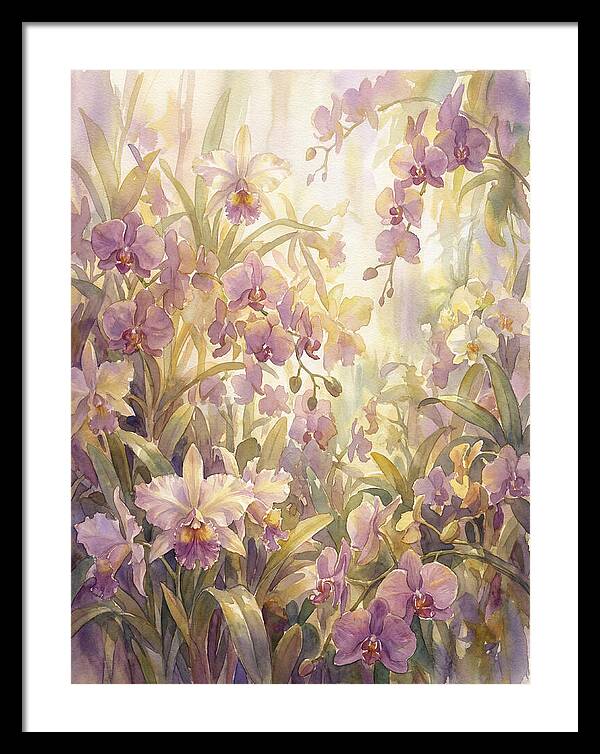Orchid Garden