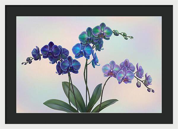 Orchid In Impossible Colors