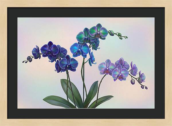Orchid In Impossible Colors