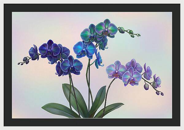 Orchid In Impossible Colors