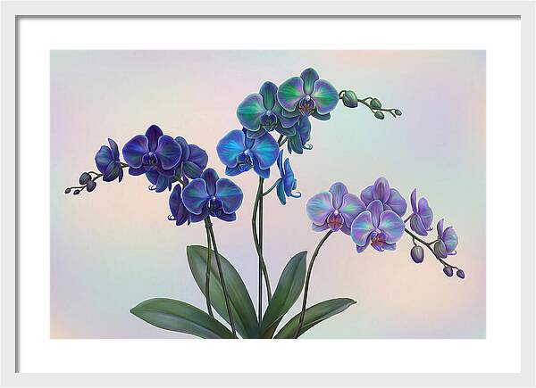 Orchid In Impossible Colors