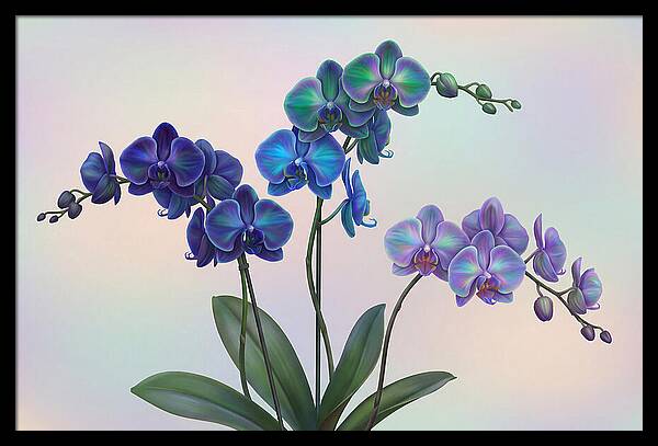Orchid In Impossible Colors