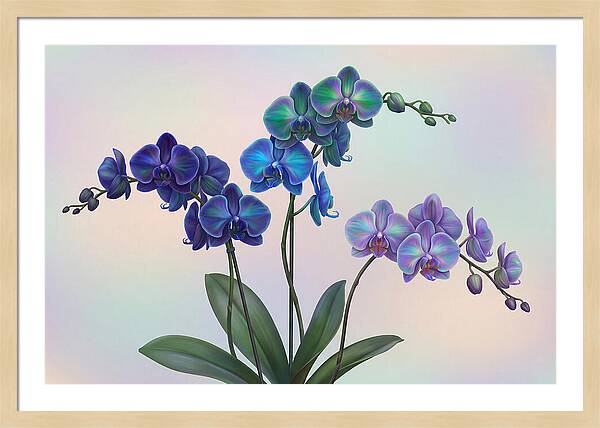 Orchid In Impossible Colors