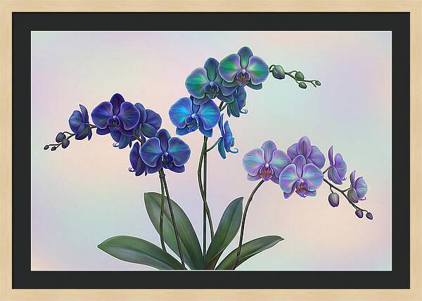 Orchid In Impossible Colors