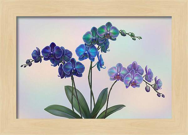 Orchid In Impossible Colors