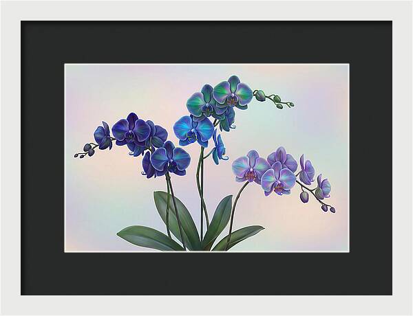 Orchid In Impossible Colors