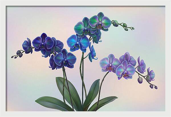 Orchid In Impossible Colors