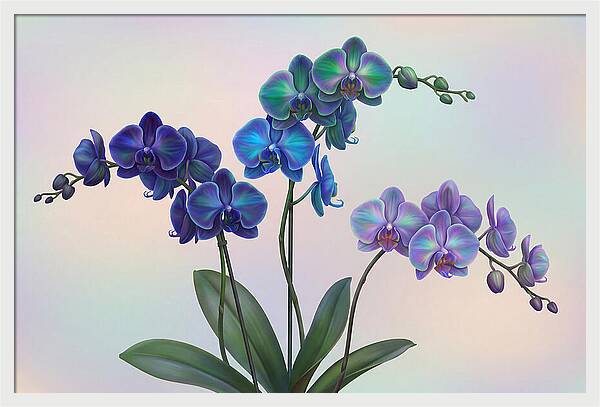 Orchid In Impossible Colors