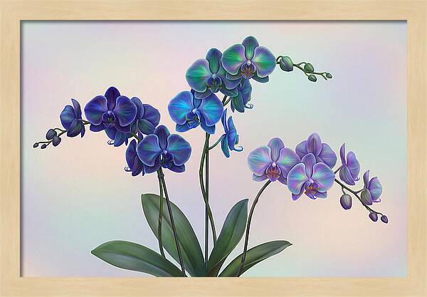 Orchid In Impossible Colors