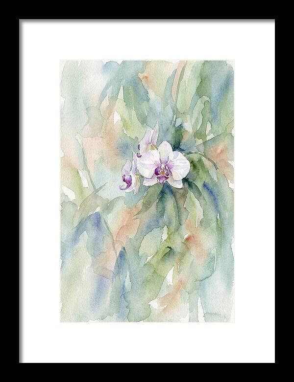 Orchid In Jungle
