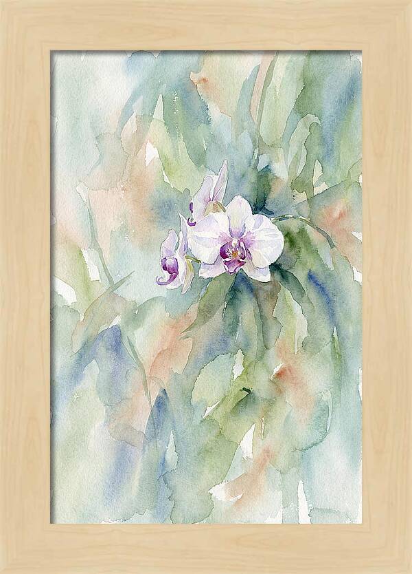 Orchid In Jungle