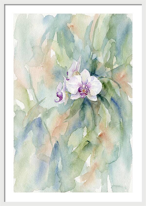 Orchid In Jungle