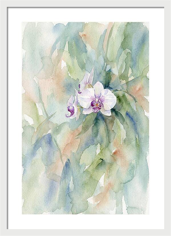 Orchid In Jungle