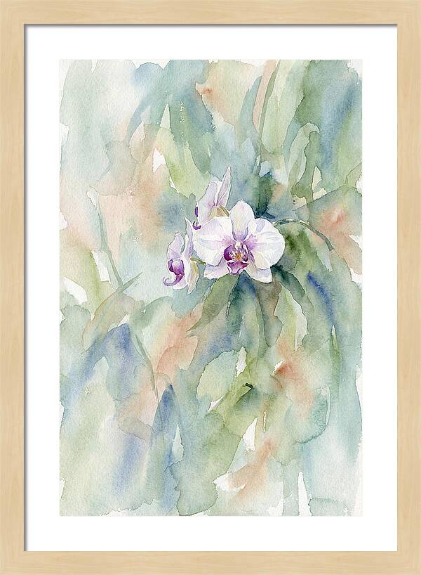 Orchid In Jungle
