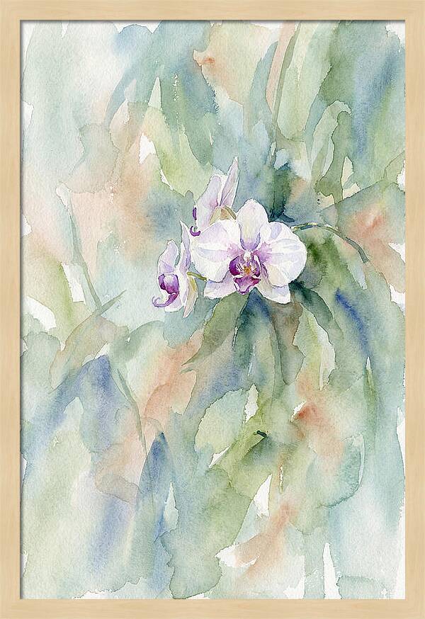 Orchid In Jungle