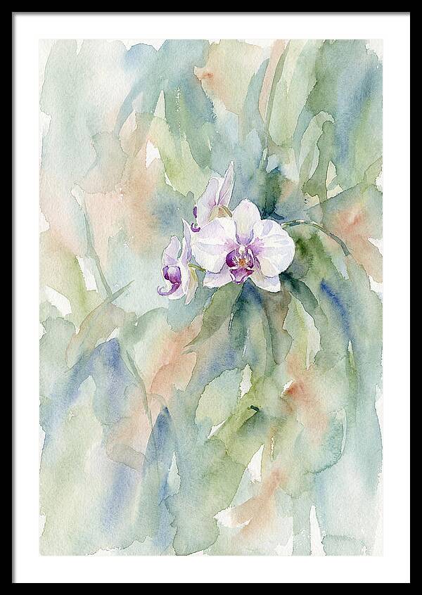Orchid In Jungle