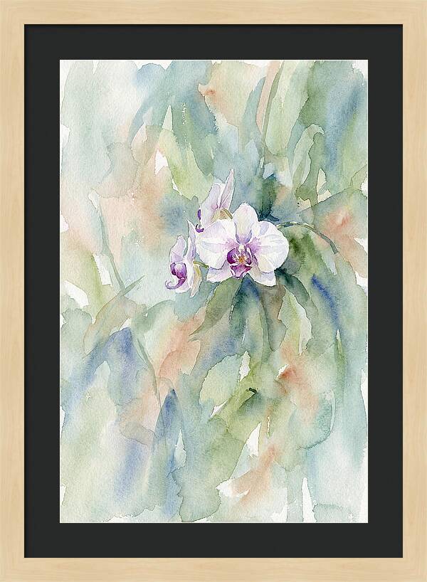Orchid In Jungle