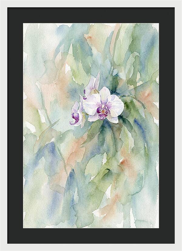 Orchid In Jungle