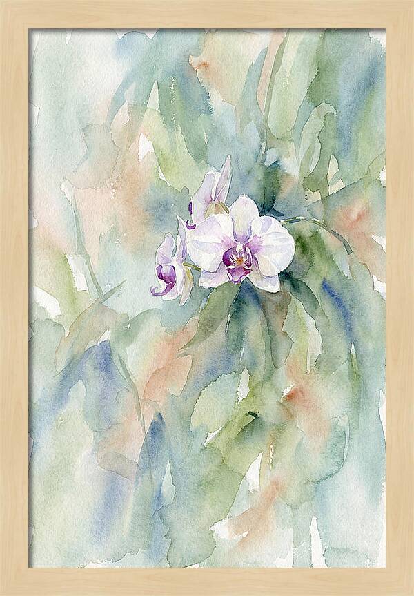 Orchid In Jungle