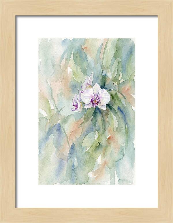 Orchid In Jungle