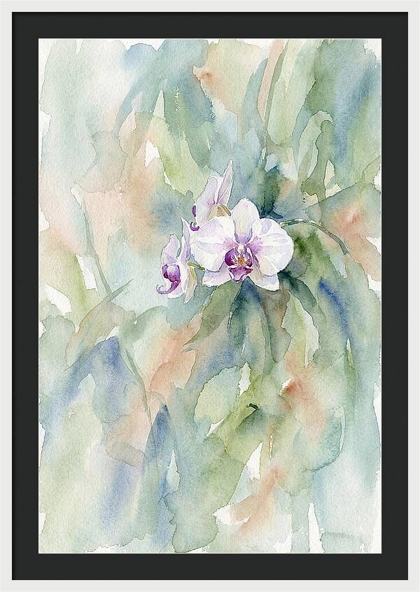Orchid In Jungle