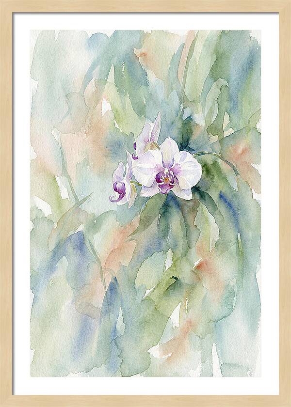 Orchid In Jungle