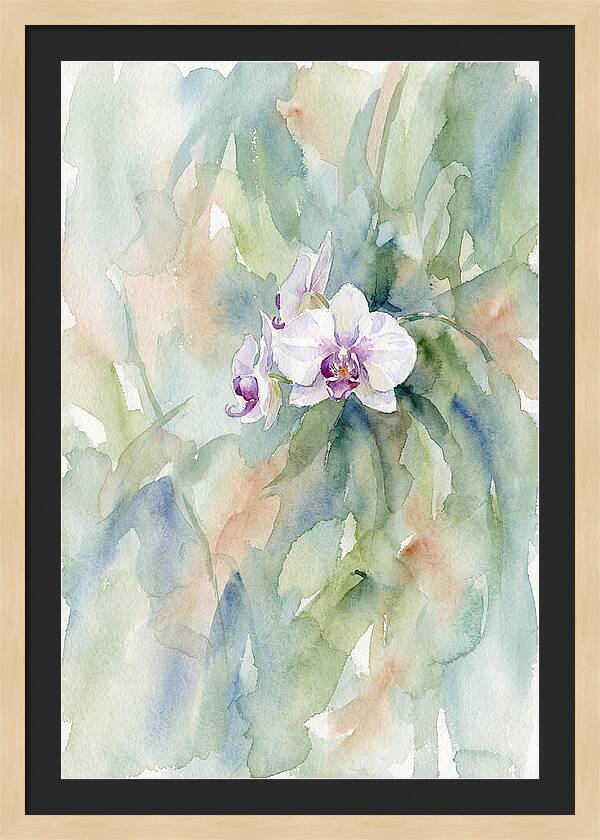 Orchid In Jungle
