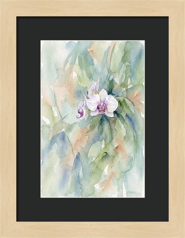 Orchid In Jungle