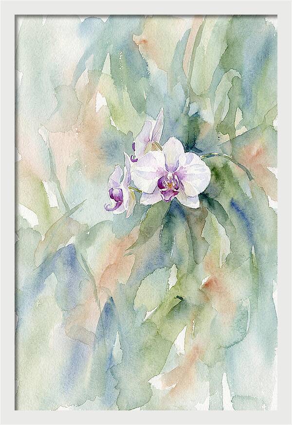 Orchid In Jungle