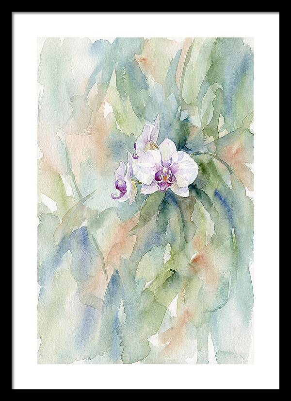 Orchid In Jungle