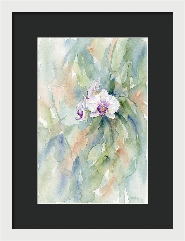 Orchid In Jungle