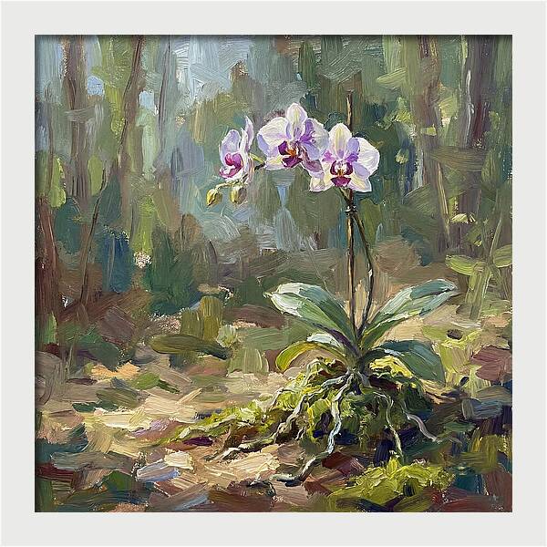 Orchid In Natural Light