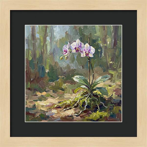 Orchid In Natural Light
