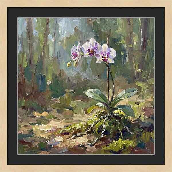 Orchid In Natural Light