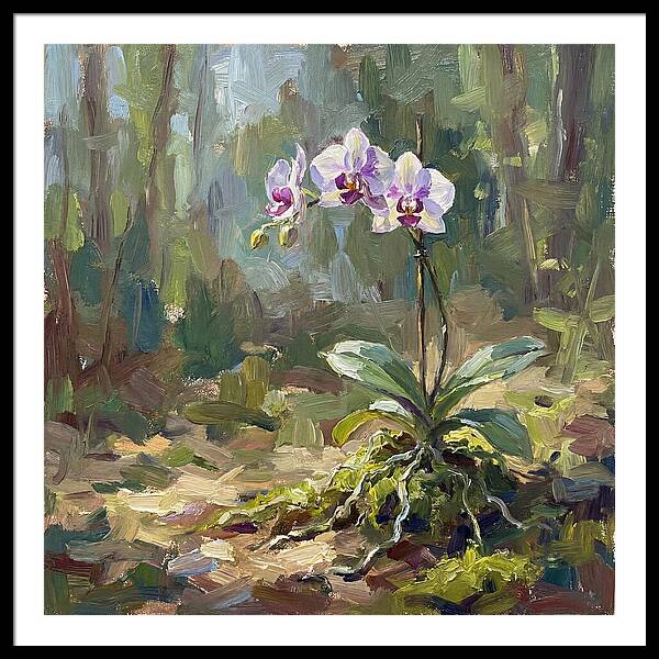 Orchid In Natural Light