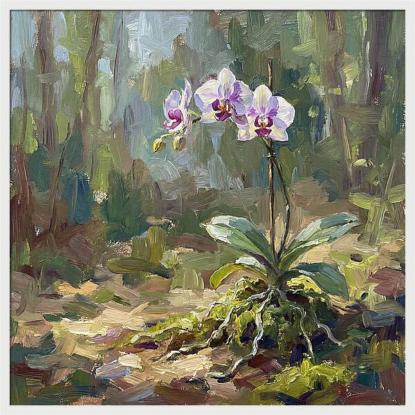 Orchid In Natural Light