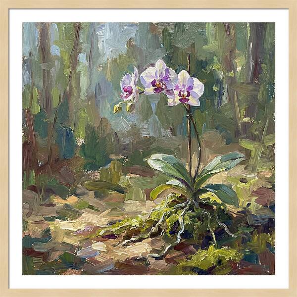 Orchid In Natural Light