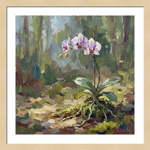 Orchid In Natural Light