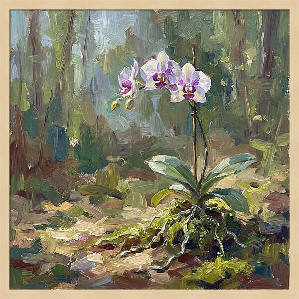 Orchid In Natural Light