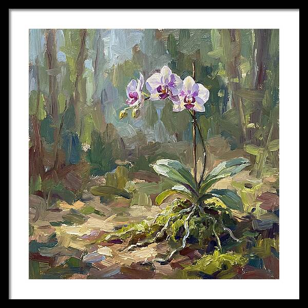 Orchid In Natural Light