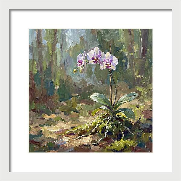 Orchid In Natural Light