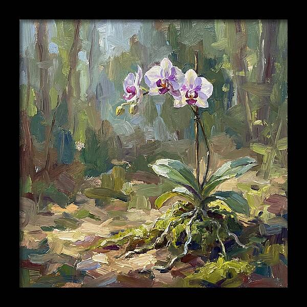 Orchid In Natural Light