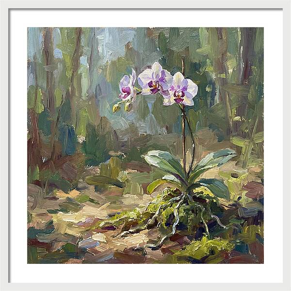 Orchid In Natural Light
