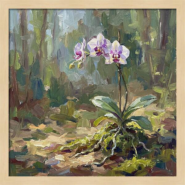 Orchid In Natural Light
