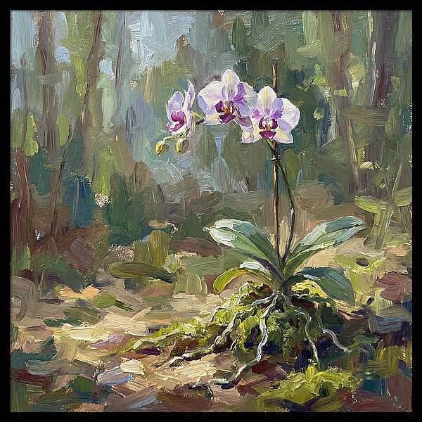 Orchid In Natural Light