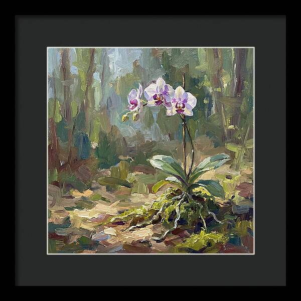 Orchid In Natural Light