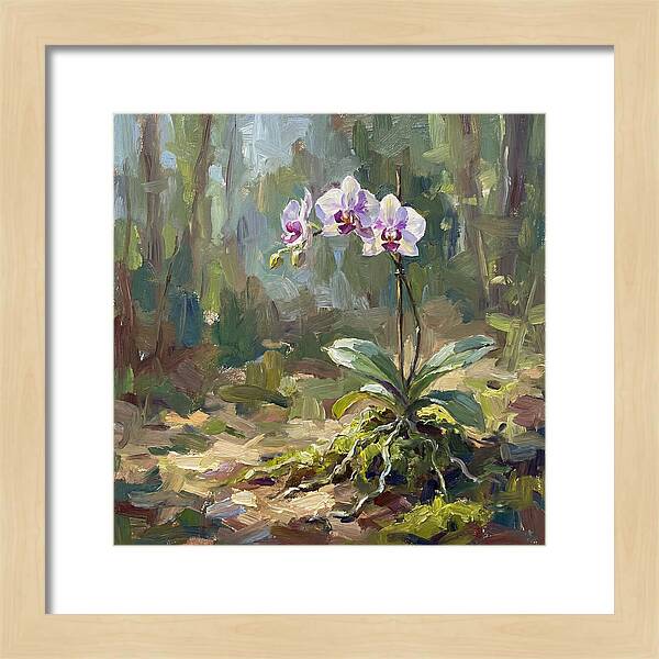 Orchid In Natural Light