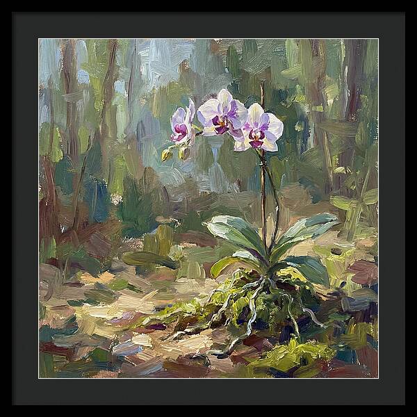 Orchid In Natural Light