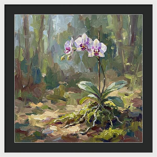 Orchid In Natural Light